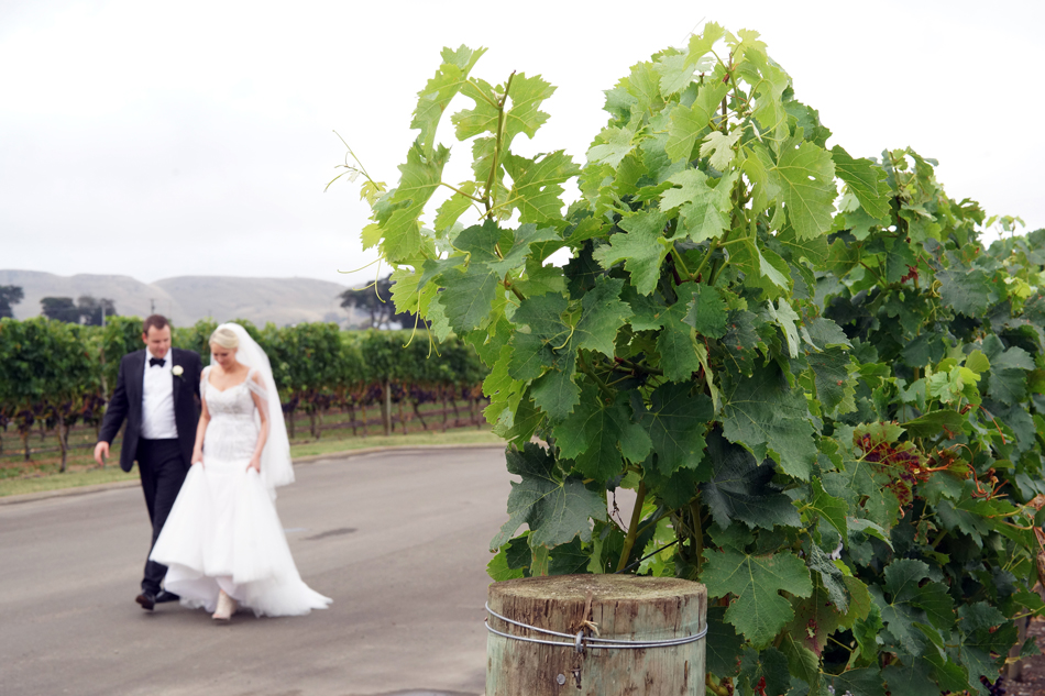 Although we met Joanna & Jason in Sydney the decision to return to their home country of New Zealand for a destination wedding was simple.